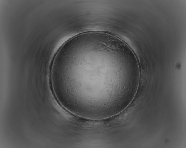 X0000091541187200708241726