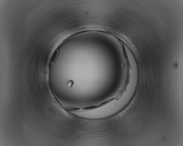 X0000091541188200708241726