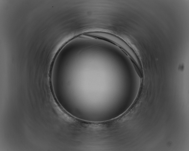 X0000091541189200708241726