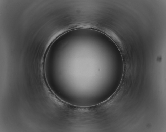 X0000091541190200708241726