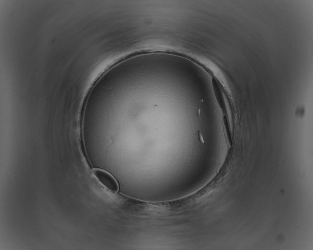 X0000091541191200708241726