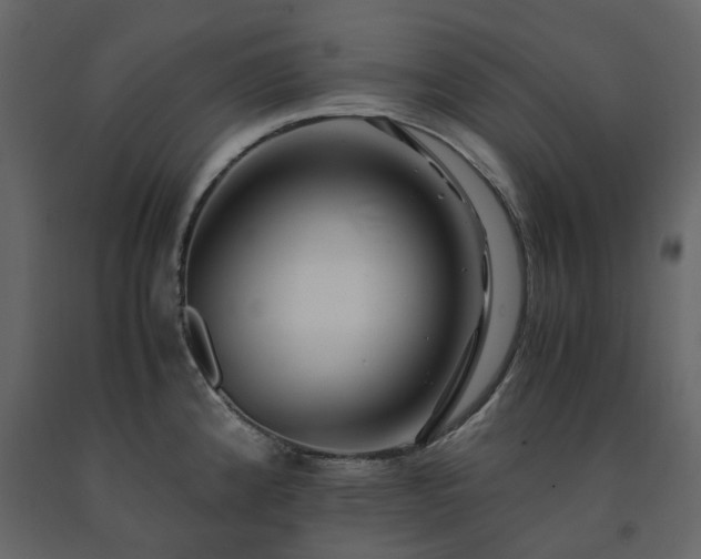 X0000091541192200708241726