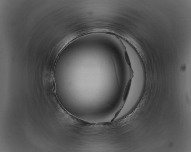 X0000091541193200708241726