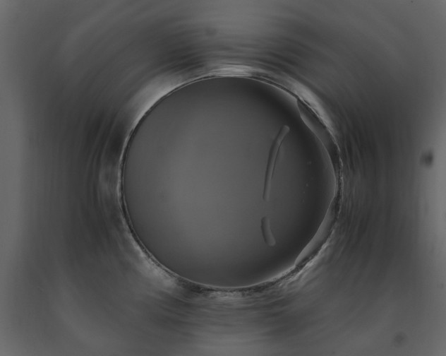 X0000091541194200708241726