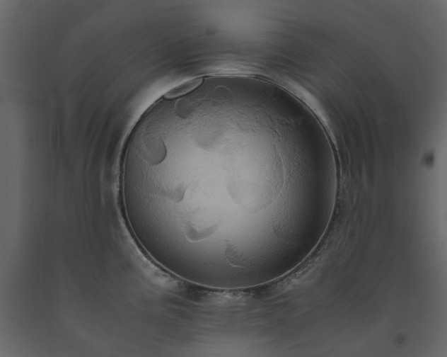 X0000091541195200708241726