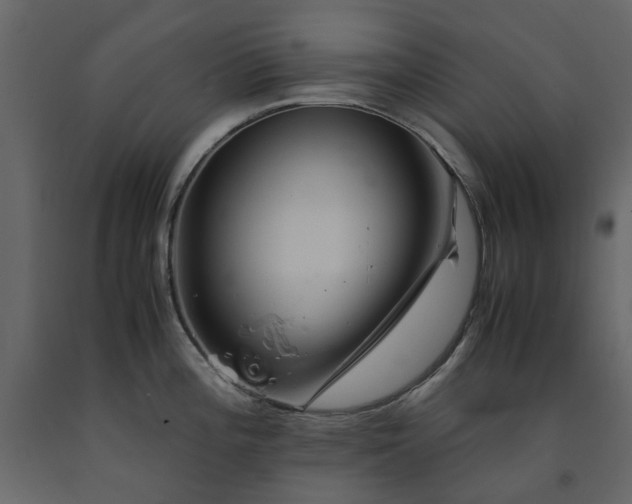 X0000091541196200708241726