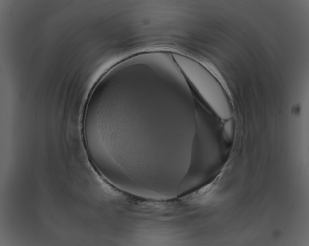X0000091541197200708241726