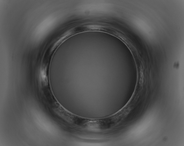 X0000091541198200708241726