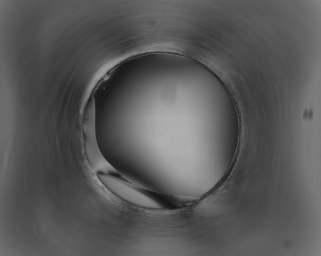 X0000091541200200708241726