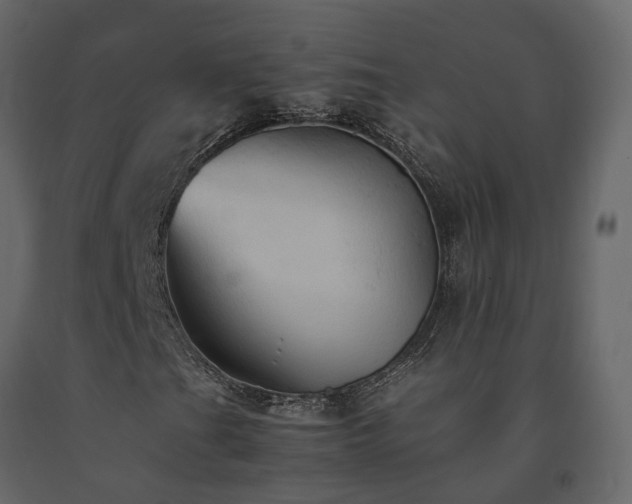 X0000091541201200708241725
