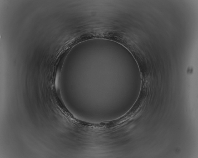 X0000091541202200708241725