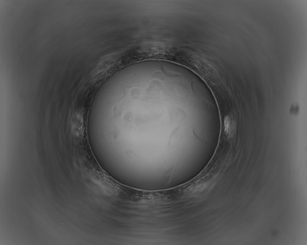 X0000091541203200708241726
