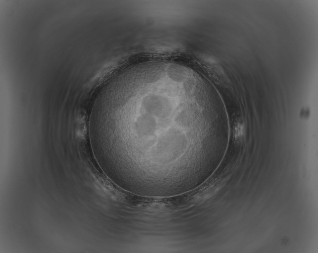 X0000091541204200708241726