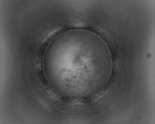 X0000091541205200708241726