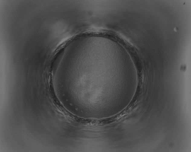 X0000091541206200708241726
