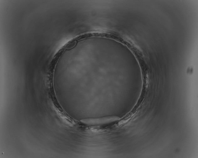 X0000091541208200708241726