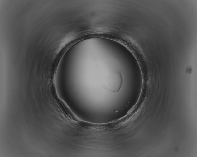 X0000091541210200708241726
