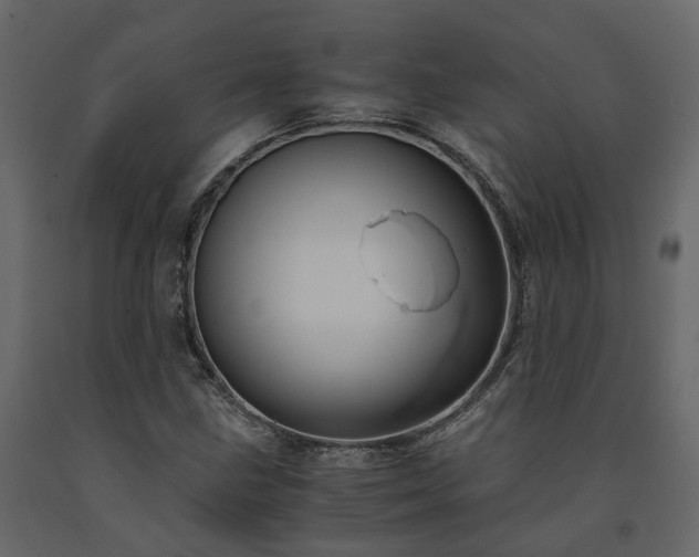 X0000091541211200708241726