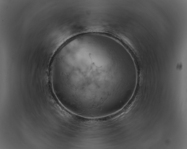 X0000091541212200708241726