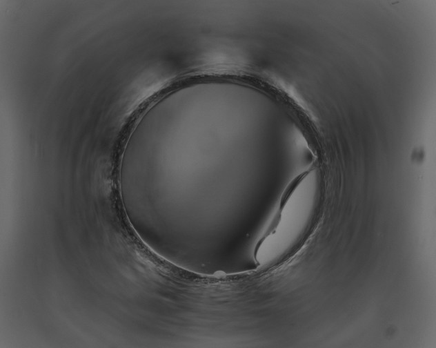 X0000091541213200708241726