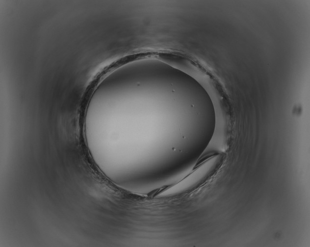 X0000091541214200708241726