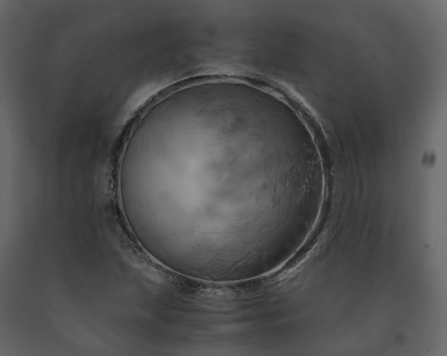 X0000091541215200708241726