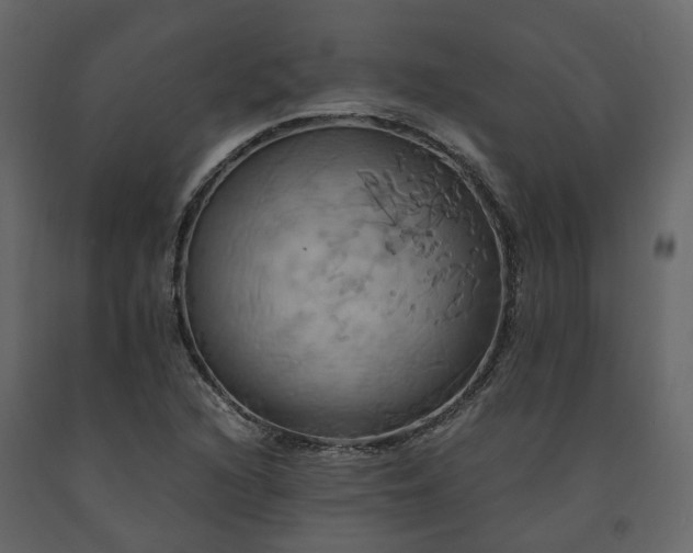 X0000091541216200708241726
