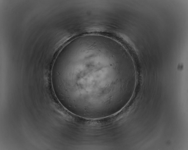 X0000091541217200708241726