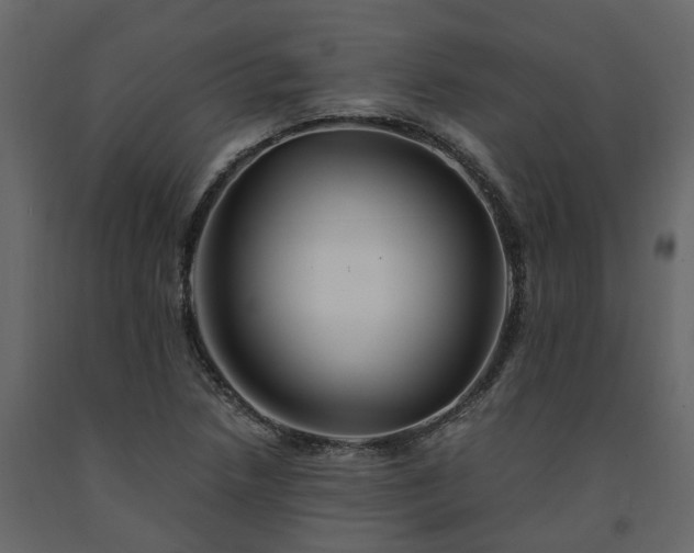 X0000091541218200708241726