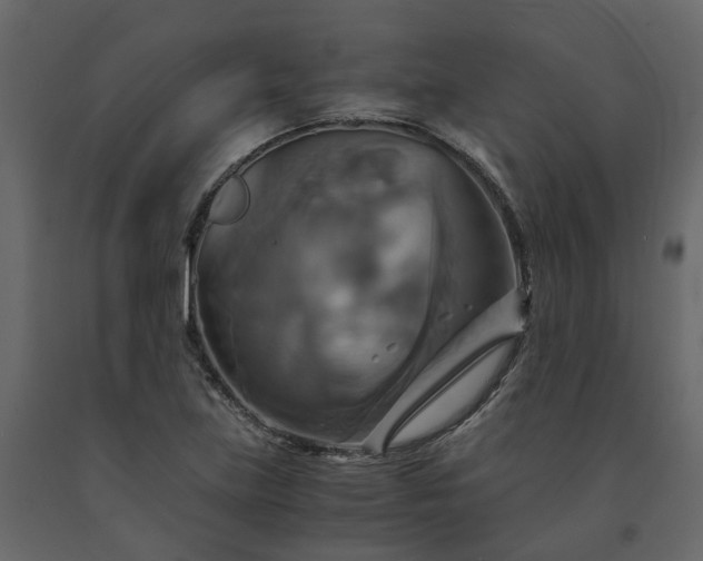 X0000091541219200708241726