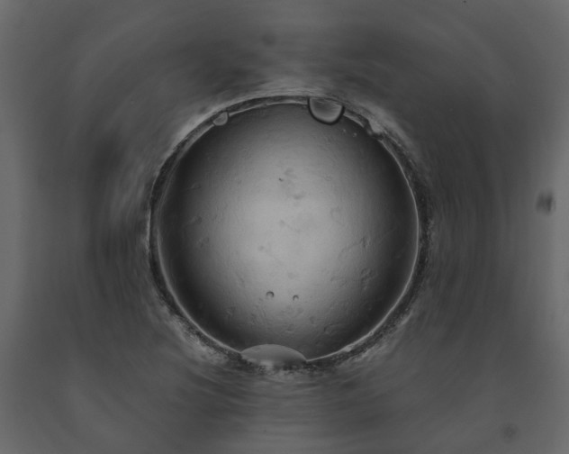 X0000091541220200708241726