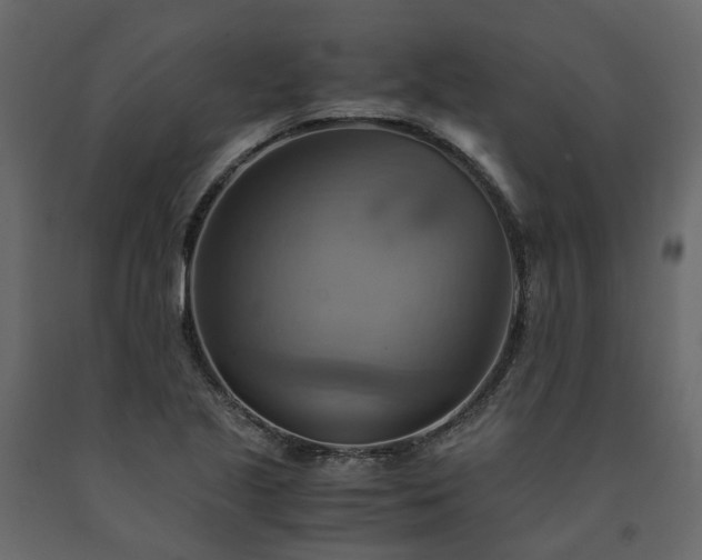 X0000091541221200708241726