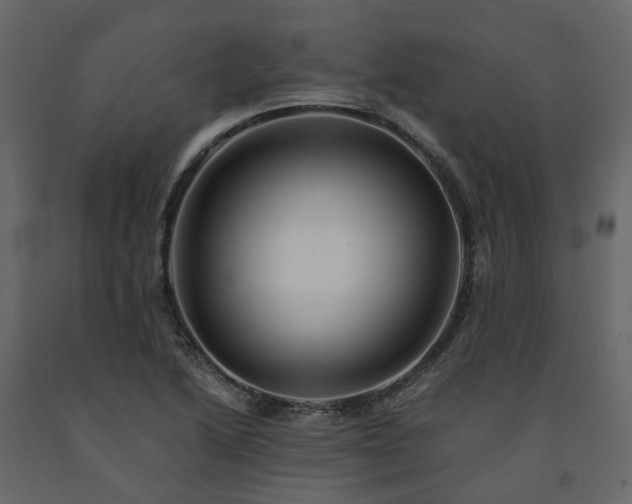 X0000091541222200708241726