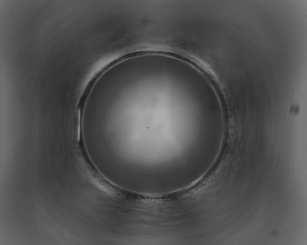 X0000091541223200708241726