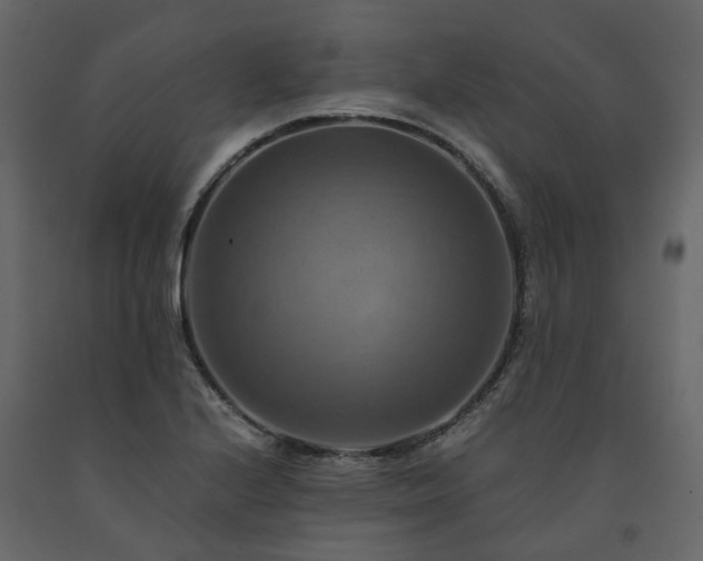 X0000091541224200708241726