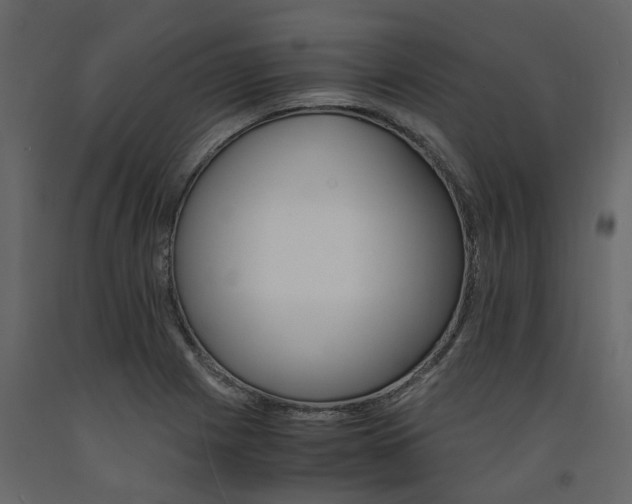 X0000091541225200708241726