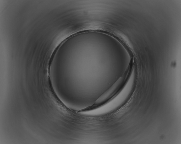 X0000091541226200708241726