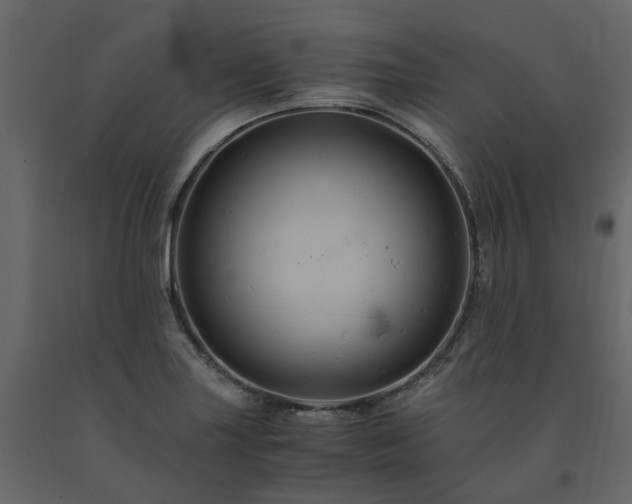 X0000091541227200708241726