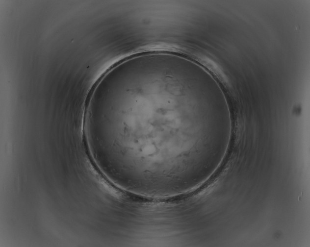 X0000091541228200708241726