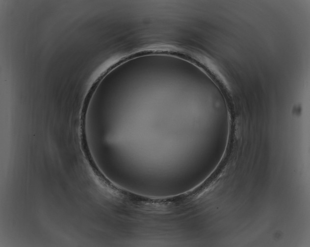 X0000091541229200708241726
