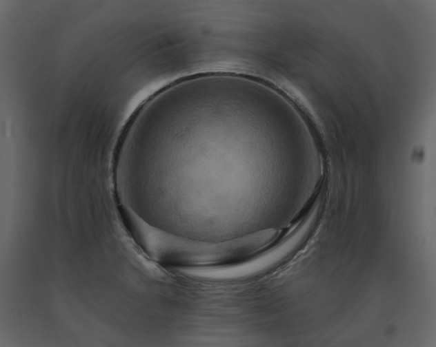 X0000091541230200708241726