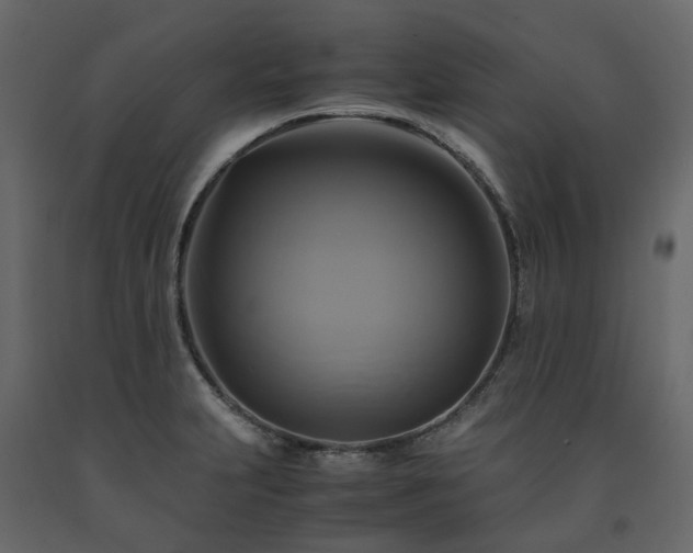 X0000091541231200708241726