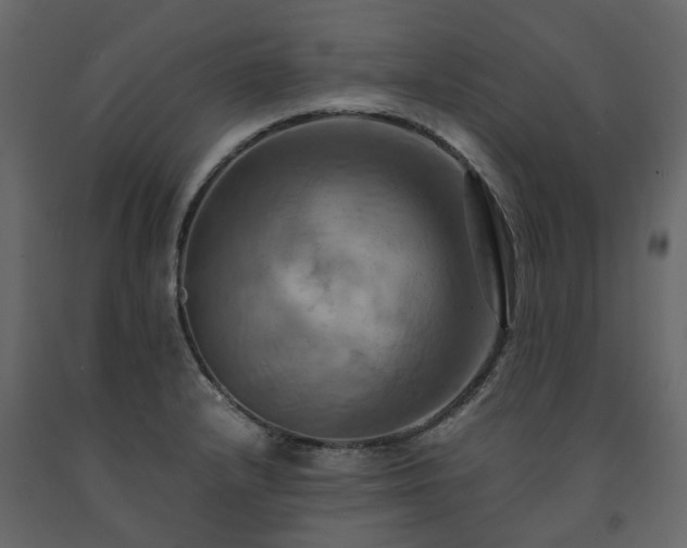 X0000091541232200708241726
