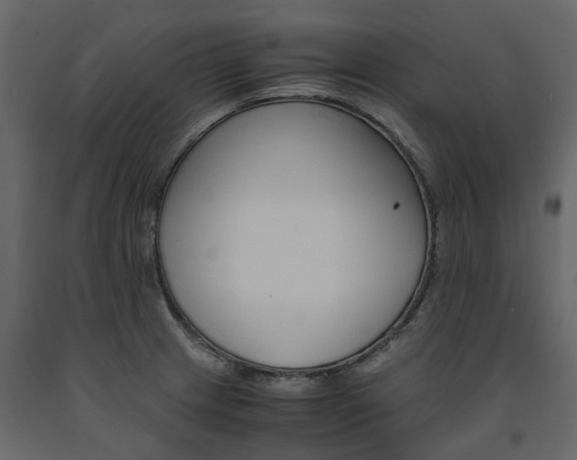 X0000091541233200708241726