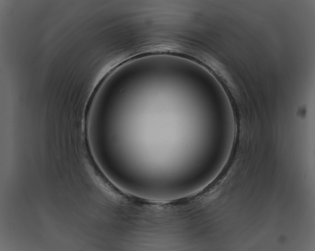 X0000091541234200708241726