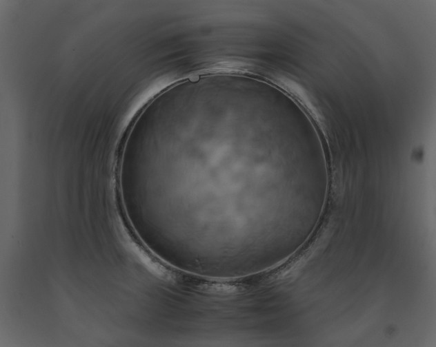 X0000091541235200708241726