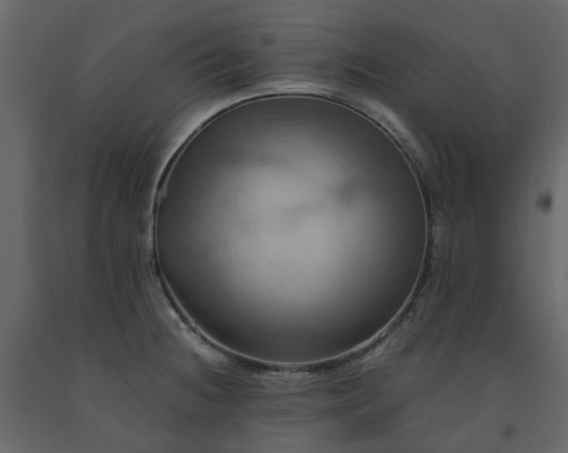 X0000091541236200708241726