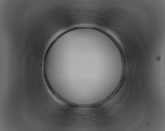 X0000091541237200708241726