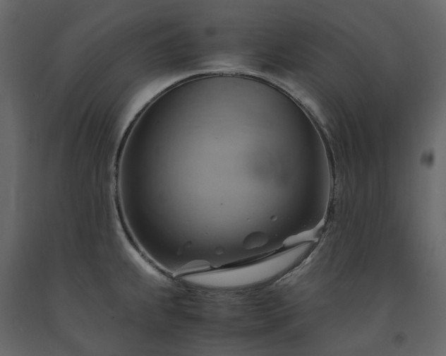X0000091541239200708241726