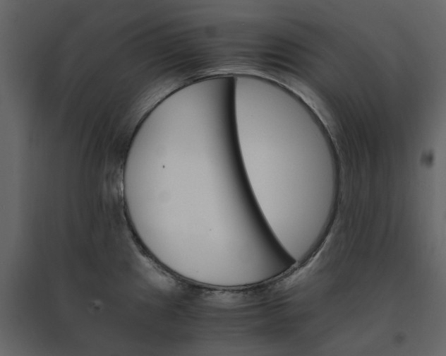 X0000091541241200708241726